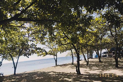 a group of trees on a beach near the water at Casa Astillero - Calatagan Batangas Private Resort in Calatagan