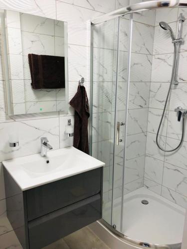 弗瓦迪斯瓦沃沃的住宿－Apartament Morski Relaks，带淋浴、盥洗盆和淋浴的浴室