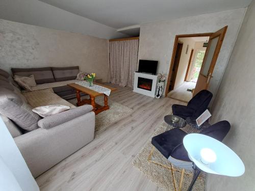 提耶蒂什特的住宿－Turistički kompleks - MONTANA，带沙发和壁炉的客厅