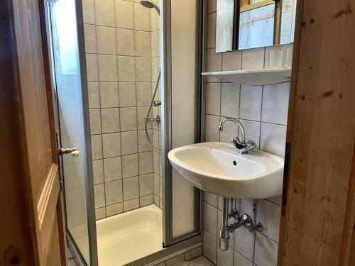 トレーポラッハにあるLovely Apartment in Tröpolach with Saunaの小さなバスルーム(シンク、シャワー付)