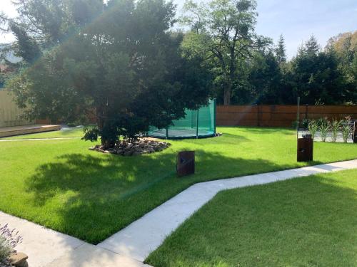 a green yard with a tree in the grass at Black House 88 in Ustroń