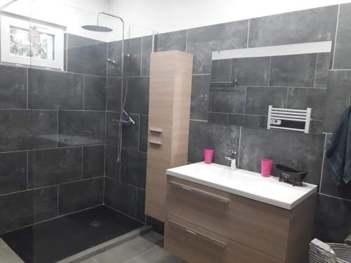 une salle de bain avec un lavabo et une douche dans l'établissement Le petit NiCe, à Caromb