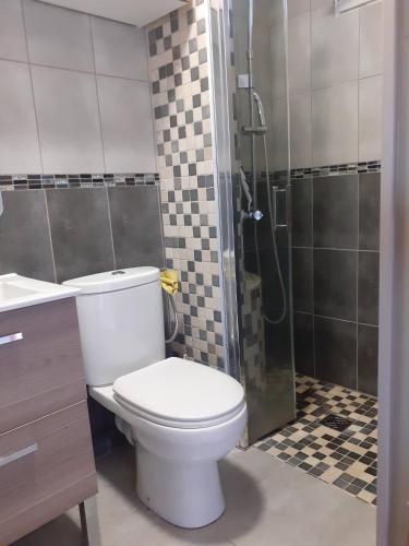 une salle de bain avec toilettes et douche dans l'établissement Appartement SAINT CYPRIEN PLAGE 6 Couchages, à Saint-Cyprien