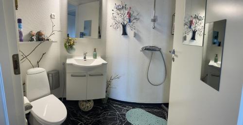 uma casa de banho com um WC, um lavatório e um chuveiro em Lake view em Aarhus