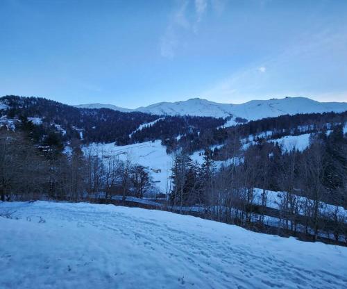 une colline enneigée avec des arbres et des montagnes en arrière-plan dans l'établissement Appartement 4/6 le lioran, à Laveissière