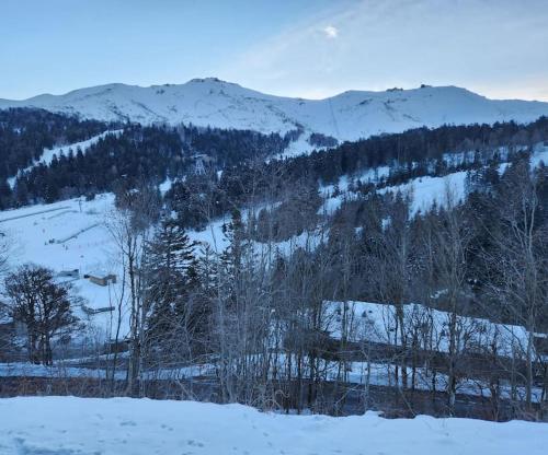 une montagne enneigée avec des arbres et des montagnes dans l'établissement Appartement 4/6 le lioran, à Laveissière