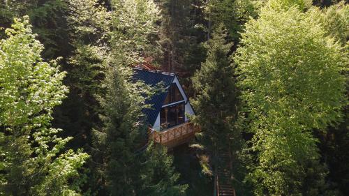 a tree house in the middle of a forest at Montana Suite Bungalows in Akcaabat