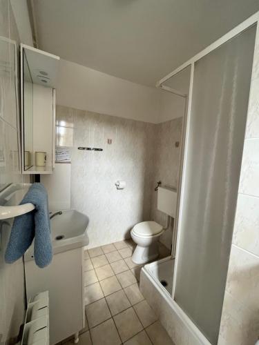 a bathroom with a toilet and a sink and a shower at Apartment Danica in Valtura