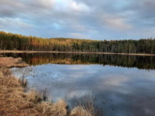 a view of a lake with trees in the background at Davids Stuga in Klässbol