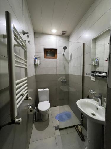 een badkamer met een toilet en een wastafel bij North Kazbegi in Kazbegi