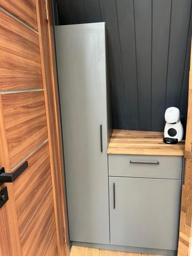 a white refrigerator sitting next to a wooden door at CallTipi glass house in Kalgriaužiai