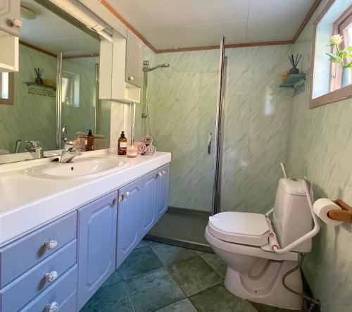 un bagno con wc, lavandino e doccia di Secluded Holiday Home, With private beach ad Ålesund