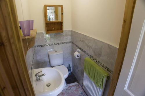 a bathroom with a toilet and a sink and a mirror at a quirky garden building in an orchard in Ryton
