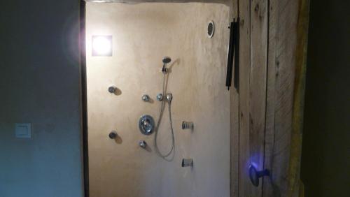 La salle de bains est pourvue d'une douche avec un pommeau de douche. dans l'établissement Suites de Campagne Les Eydieux, à Saint-Angel