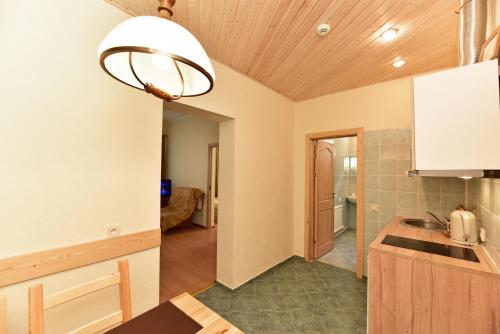 a kitchen with a sink and a counter top at Dalija in Druskininkai