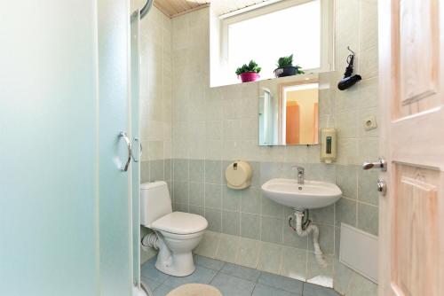 a bathroom with a toilet and a sink at Dalija in Druskininkai