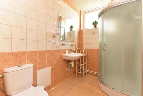 a bathroom with a toilet and a sink at Dalija in Druskininkai
