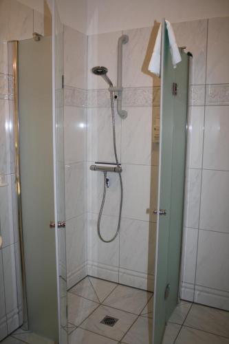 a bathroom with a shower with a glass door at Pension Treenehof in Friedrichstadt