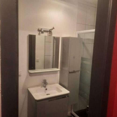 une salle de bain avec un lavabo, un miroir et une douche dans l'établissement F2 Mass & Bo, à Thaon-les-Vosges