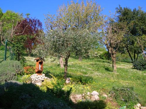 Taman di luar B&B Il Suono del Bosco