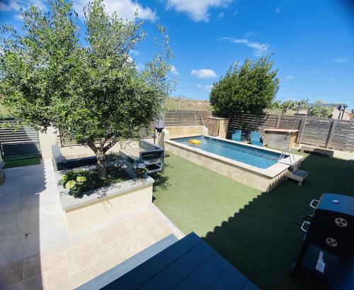 une cour avec une piscine et un arbre dans l'établissement BARCARESA-Villa Flamants Roses, au Barcarès