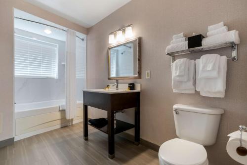 Best Western Plus St. Christopher Hotel في نيو أورلينز: حمام مع حوض ومرحاض ومرآة