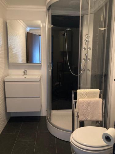 沃德年的住宿－Apartman Sulić，带淋浴、卫生间和盥洗盆的浴室