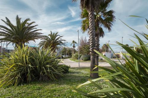 a group of palm trees in a park at retroscena matrimoniale in centro in Civitanova Marche