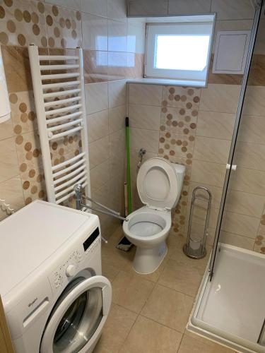 a bathroom with a toilet and a washing machine at Agapé Mini Stúdió in Balatonalmádi