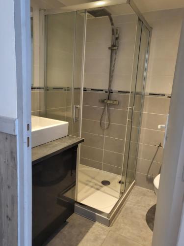 uma casa de banho com uma cabina de duche em vidro e um lavatório. em Appart 30 m2 cosy 2 personnes 1 grande chambre en mezzanine em Saint-Mitre-les-Remparts