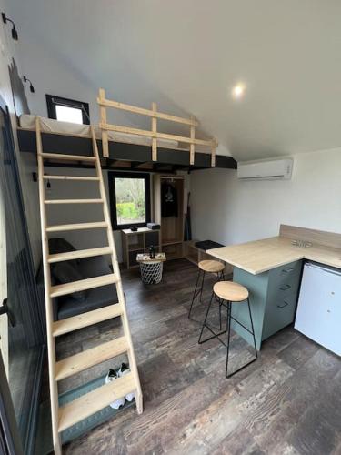 Saint-Pierre-le-ChastelにあるTiny House L’œil des Dômesのロフトベッド1台、デスクが備わる客室です。