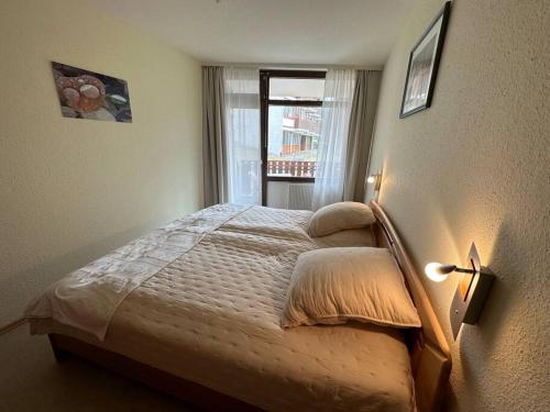 um quarto com uma cama e uma janela em FeWo Morgensonne im Ferienresort mit Pool em Schluchsee