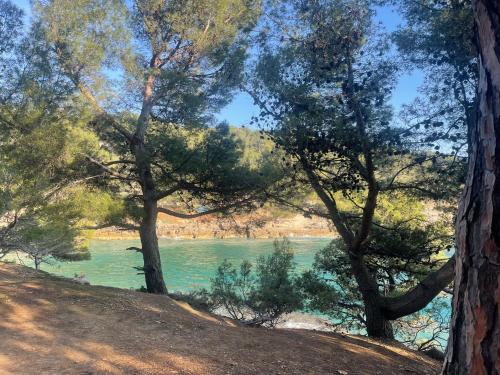 a view of a river through the trees at Retreat Apartments with free parking in Pula