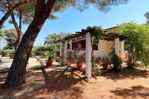 Villa ai Pini a Punta Perla - Goelba