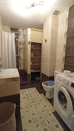 a bathroom with a washing machine and a toilet at Zacisze Drwala in Lutowiska