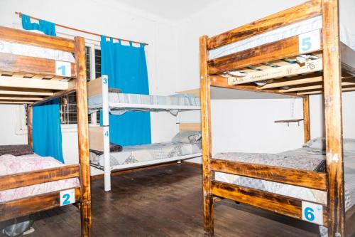 a group of bunk beds in a dorm room at VI&VI HOSTEL MENDOZA in Mendoza