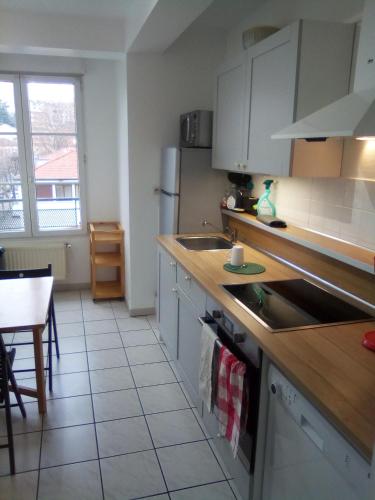 une cuisine avec un évier et un plan de travail dans l'établissement Tréfilerie, à Saint-Étienne