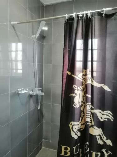 a shower curtain with a dragon on it in a bathroom at Terra Santa Lodgings in Accra