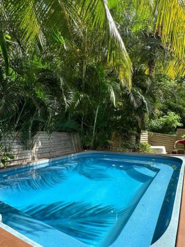 a blue swimming pool with palm trees in the background at Chez Lisa in La Gaulette