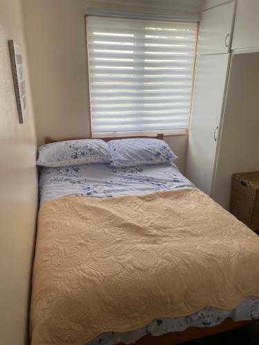 a bed in a small room with a window at K109 Chalet in Camber