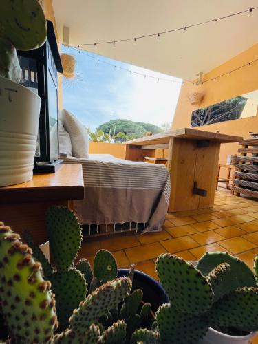 une chambre avec un lit et un cactus dans l'établissement Cosy deux pièces pour 4 personnes en centre ville classé, à Cavalaire-sur-Mer