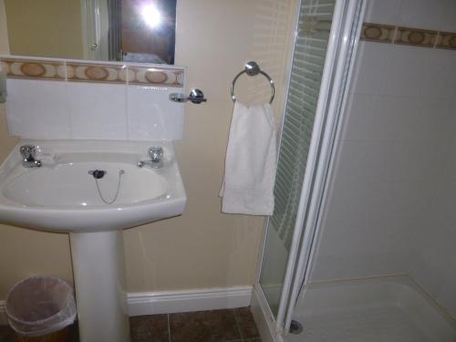 La salle de bains est pourvue d'un lavabo et d'une douche. dans l'établissement Walsh's Bridge Inn, à Newport