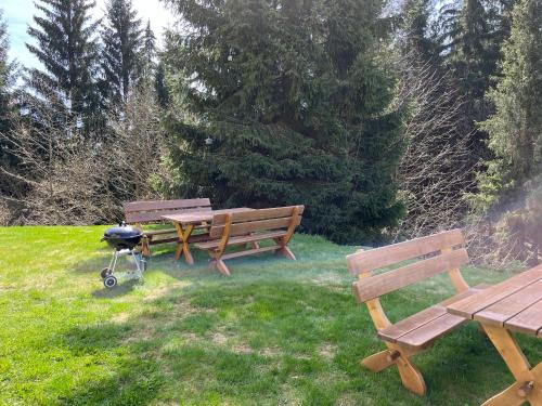 two park benches and a grill in the grass at Apartmány Josefáč se saunou in Josefuv dul