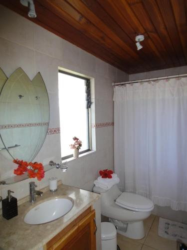 a bathroom with a toilet and a sink and a mirror at Heva Eco Lodge in Hanga Roa