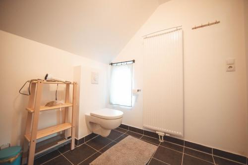 a bathroom with a toilet and a shower at Haus Käthe am Deich in Balje