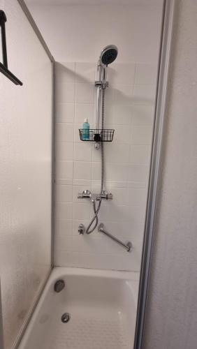 La salle de bains est pourvue d'une douche. dans l'établissement Le Gîte de la Gray House, à Mettet