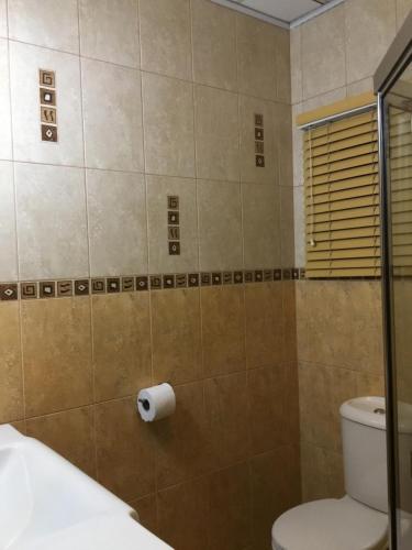baño con aseo y rollo de papel higiénico en Foothills Apartment 28 Vacation Nest, en San Fernando