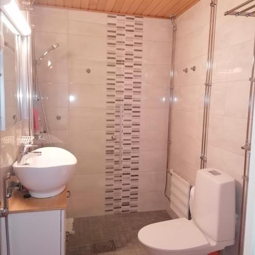 a bathroom with a toilet and a sink at Kolmio Väinöläntie 6 in Lieksa
