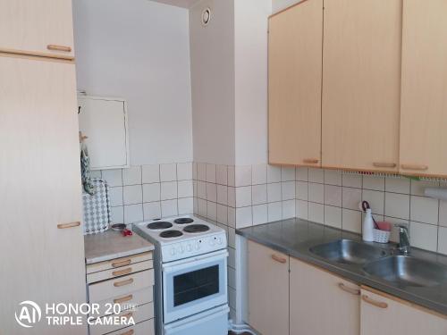 a small kitchen with a stove and a sink at Kolmio Väinöläntie 6 in Lieksa