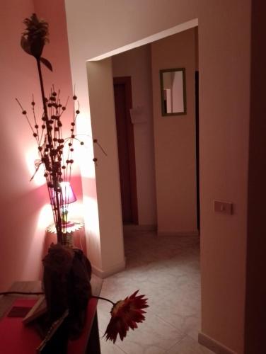 Fotografie z fotogalerie ubytování B&b Cleopatra v destinaci Scalea